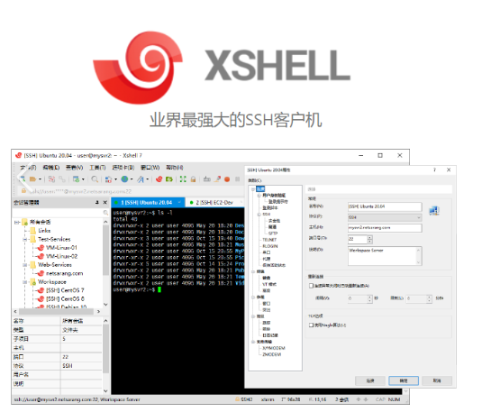 PC-18-Xshell v8.0.0069/NetSarang Xshell Plus v8.0009 SHH(远程连接)-泽客网