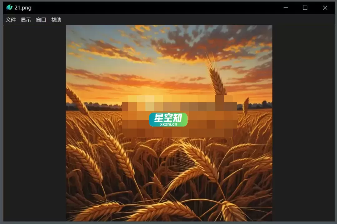 LeafView(图片查看器) v3.7.3 绿色版-泽客网
