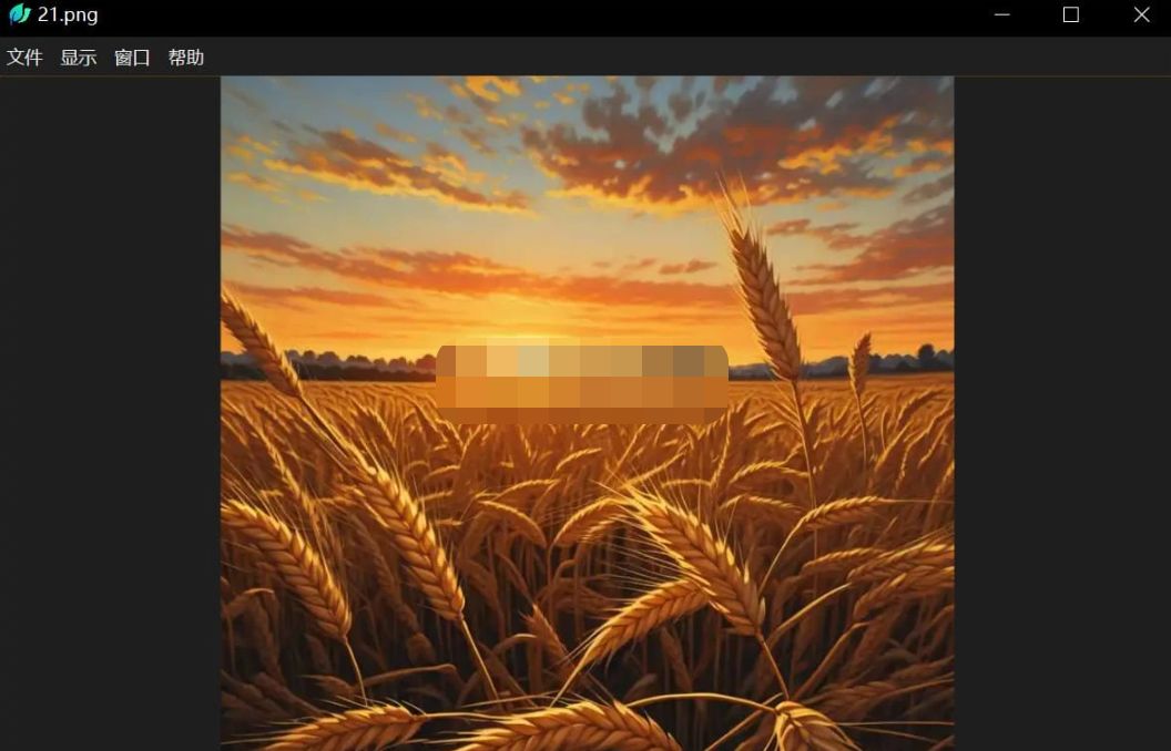 LeafView(图片查看器) v3.8.1 绿色版-泽客网