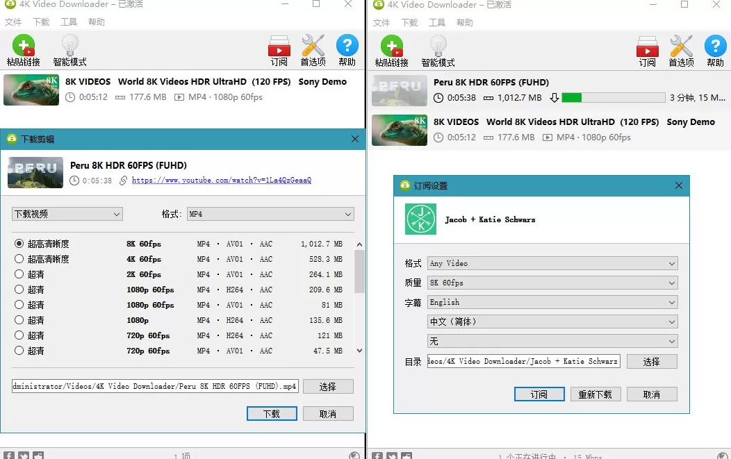 4K Video Downloader v5.18.6/ Plus v25.3.1.0220 中文绿色便携版-泽客网