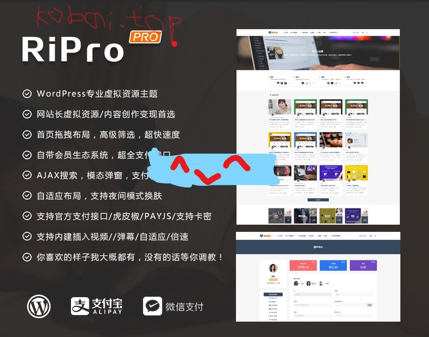 RiPro主题9.0开心版+美化插件-泽客网