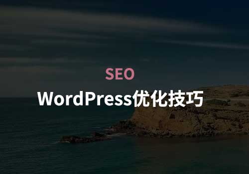 优化WordPress网站的SEO必备技巧有哪些？-泽客网