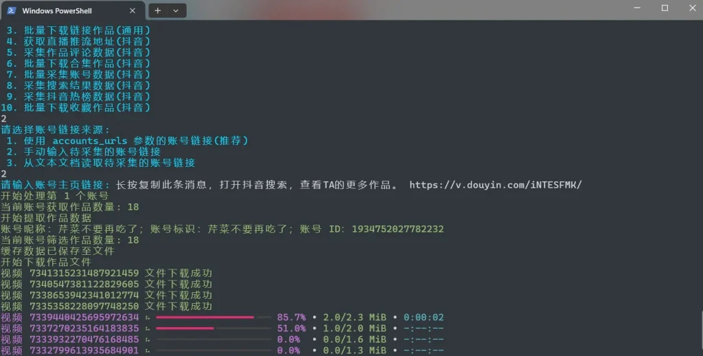 图片[6]-抖音TikTok下载器 v5.3版