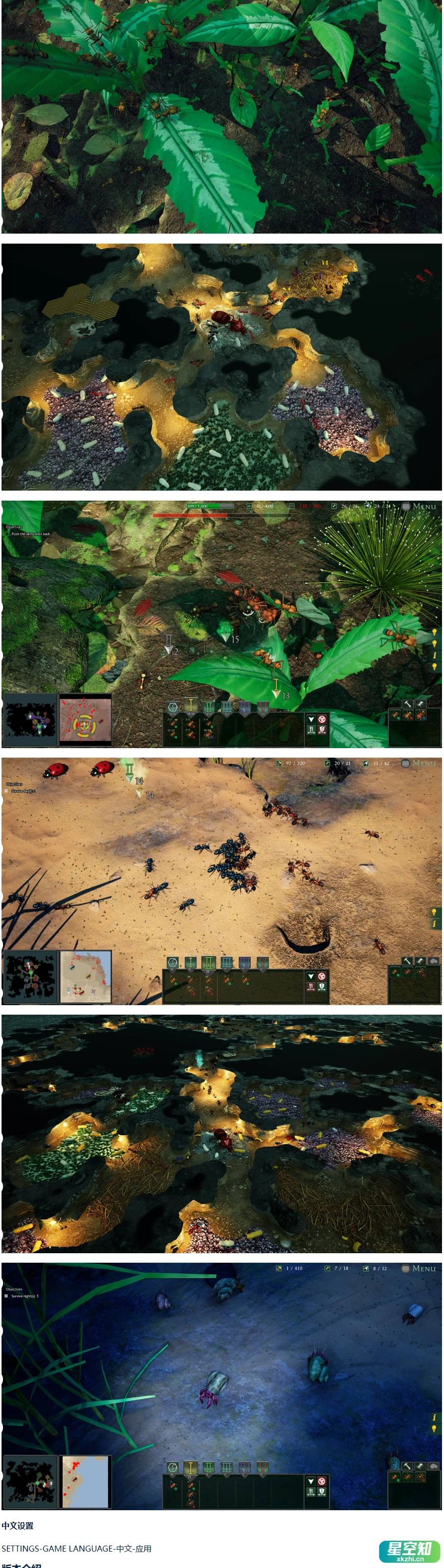 地下蚁国/Empires of the Undergrowth|官方简体中文-泽客网