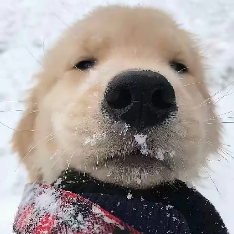 论坛标签  写真-泽客网