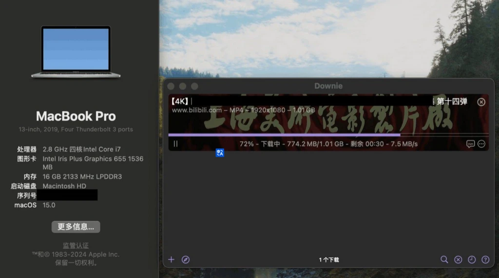Mac Downie 4 For (网络视频下载)v4.7.22 fix-泽客网