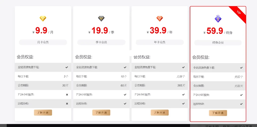 子比主题 – 首页VIP购买小工具-泽客网