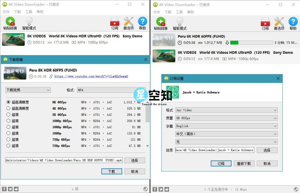4K Video Downloader v4.32.3.0112/ 1.9.1.0133 plus 中文绿色便携版-泽客网